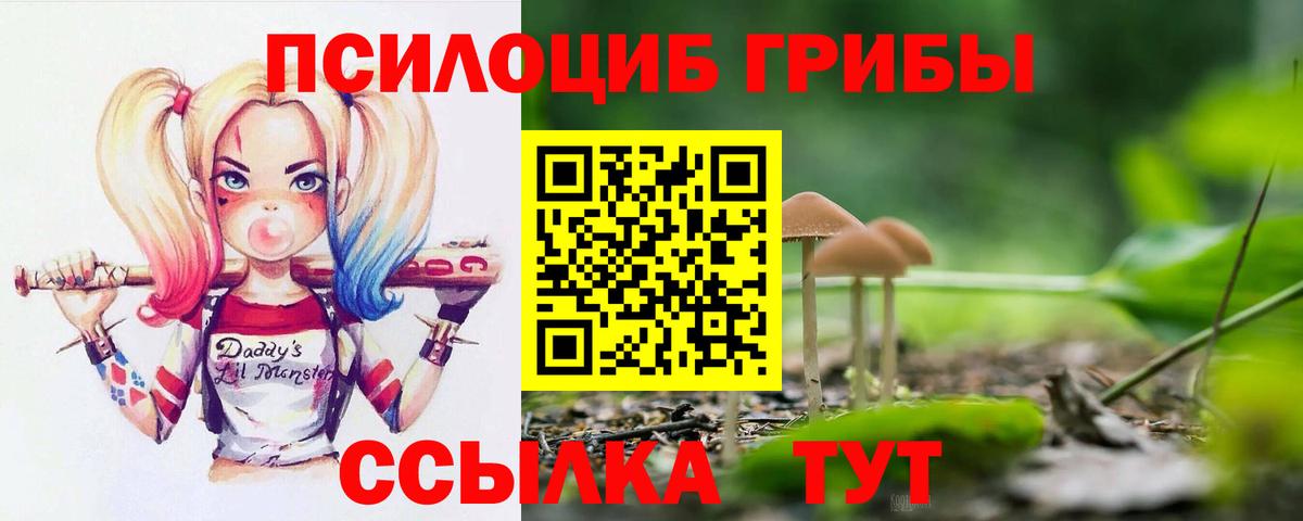 Псилоцибиновые грибы прущие грибы  Псилоцибиновые грибы Psilocybe  Качканар  Вход с VPN 